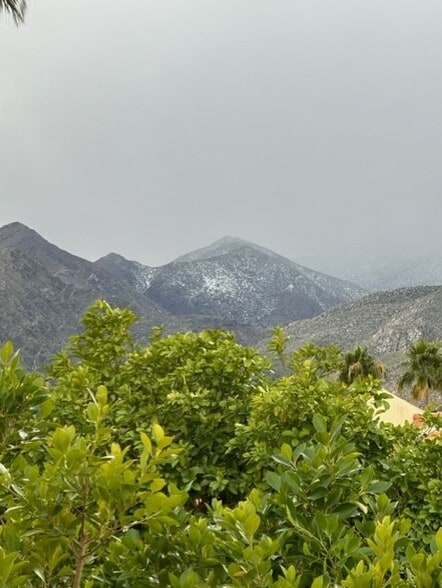 Yes, that is recent snow! View from balcony - 255 E Avenida Granada