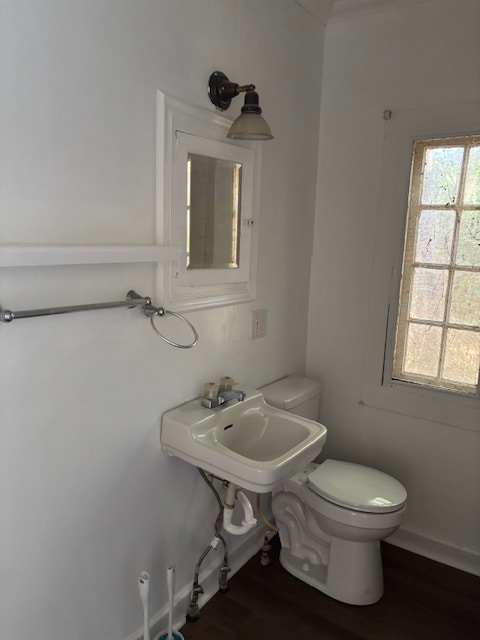 Building Photo - One Bedroom Cottage