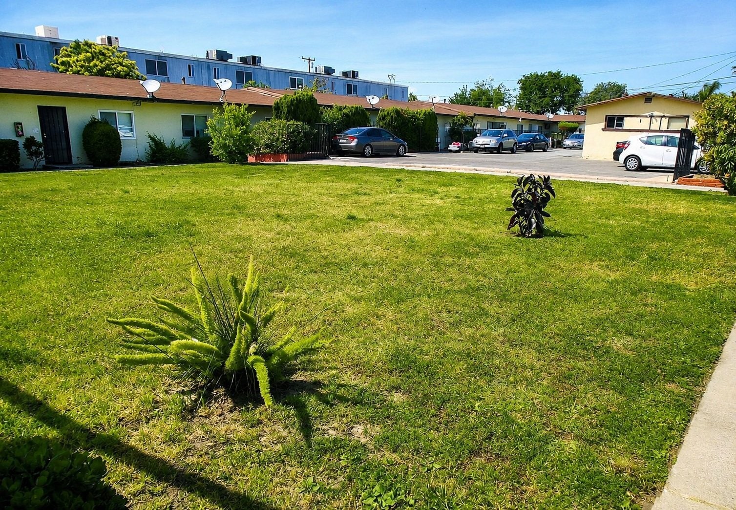 Building Photo - 3411 W Orange Ave