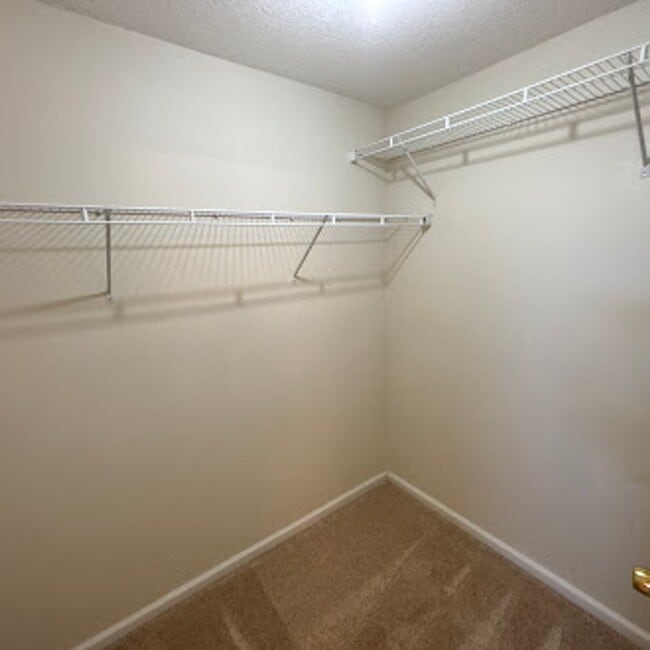 Building Photo - Spacious 3-Bed, 2-Bath Home. Patio. Amenities. Located just minutes from St Johns Town Center and...