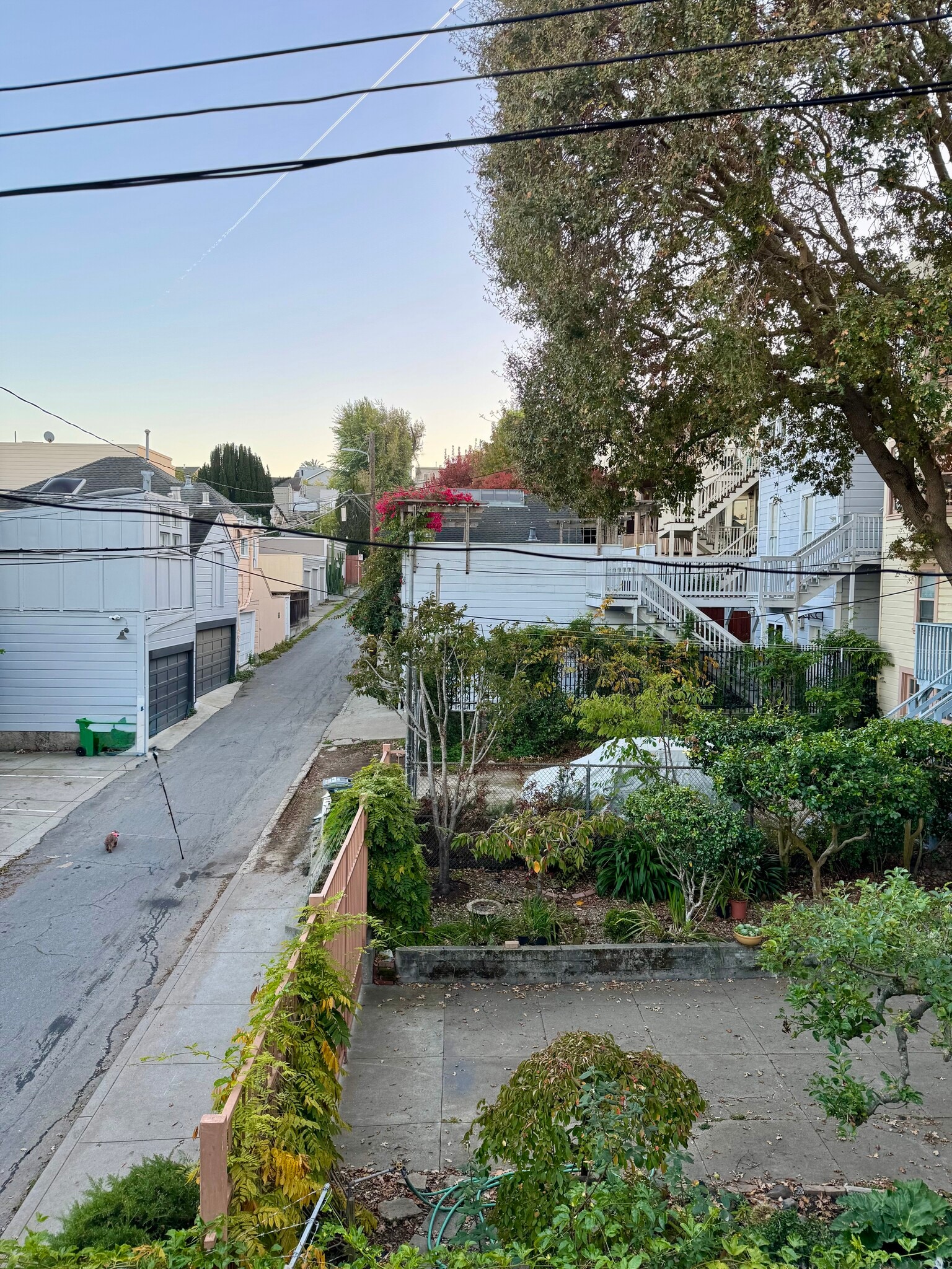 Building Photo - 3681 23rd St