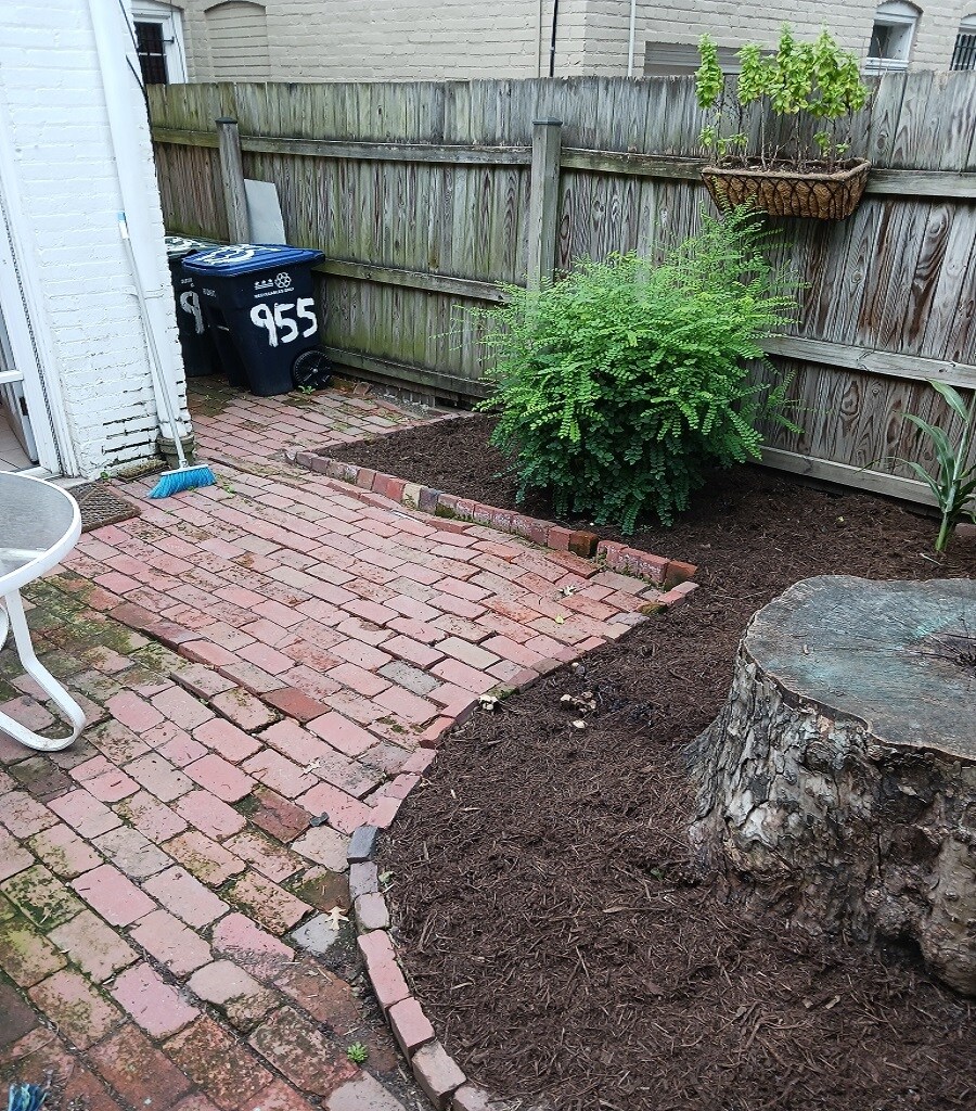 Building Photo - 955 25th St NW