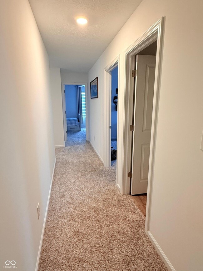 Building Photo - 425 Cape May Dr