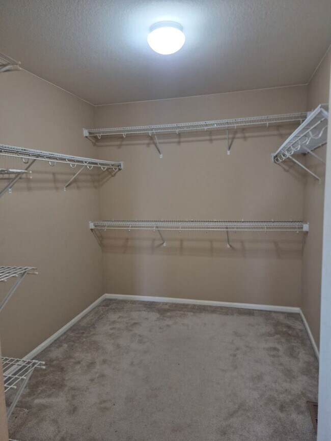 Building Photo - Spacious 5-Bed Home in Banning Lewis Ranch – Mountain Views