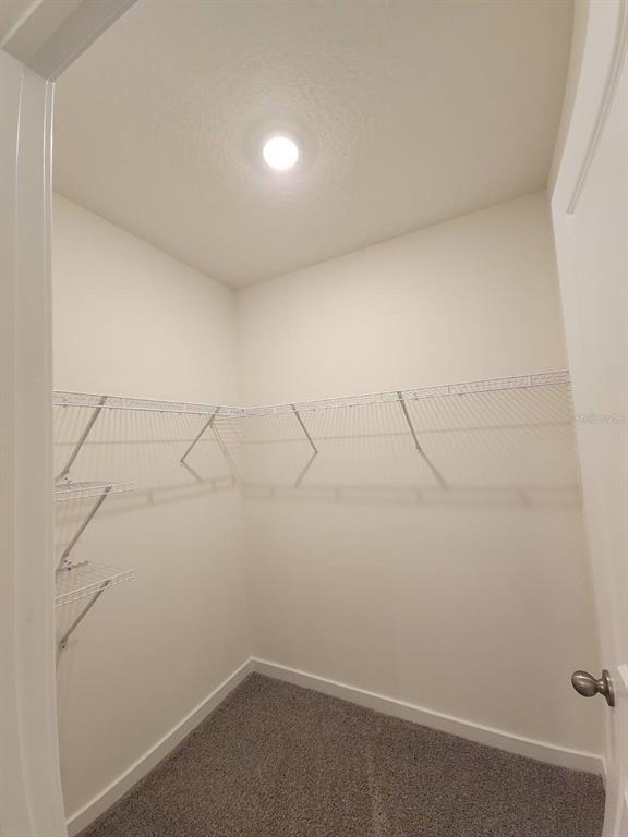 Building Photo - 3371 Chroma St