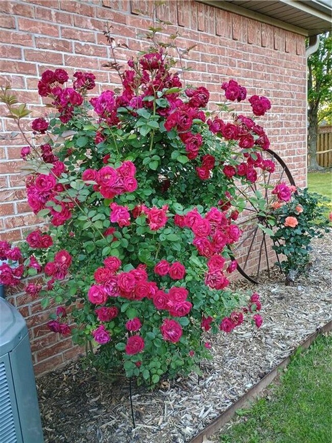 Building Photo - BEAUTIFUL HOME IN GREAT LOCATION!