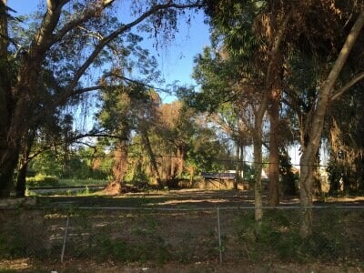 Building Photo - 509 E Magnolia St