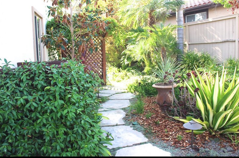 Building Photo - 7856 Paseo Tulipero