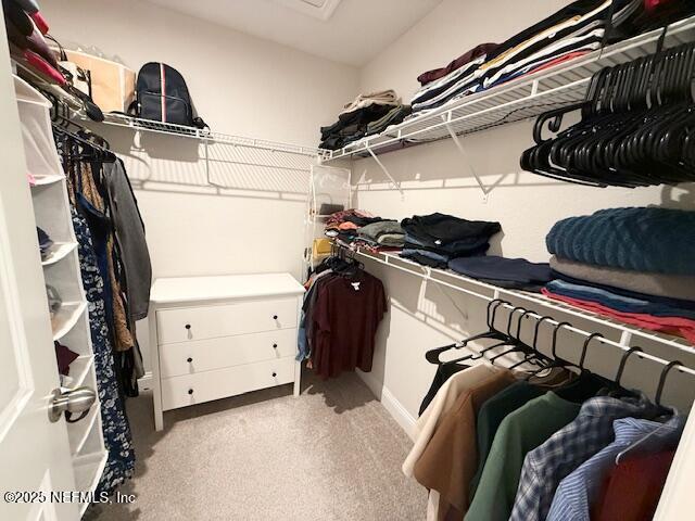 Building Photo - 12009 Calvesta St