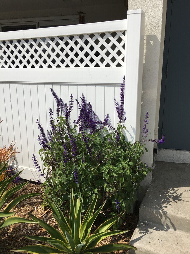 Building Photo - 2611 E Broadway