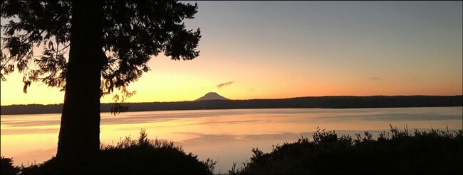 Building Photo - Come live in this quiet corner of Harstine Island!