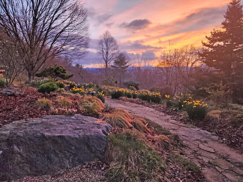 Building Photo - 100 Crab Apple Ln