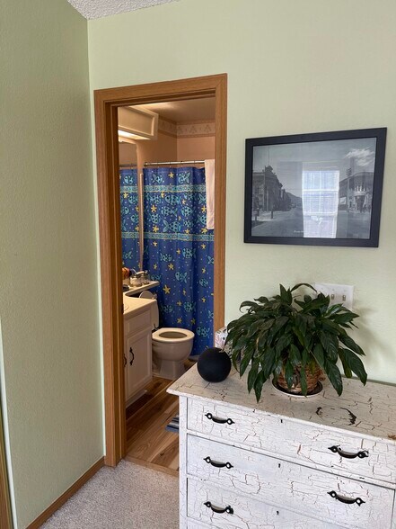 Master with view of full bath - 8185 S Fillmore Cir