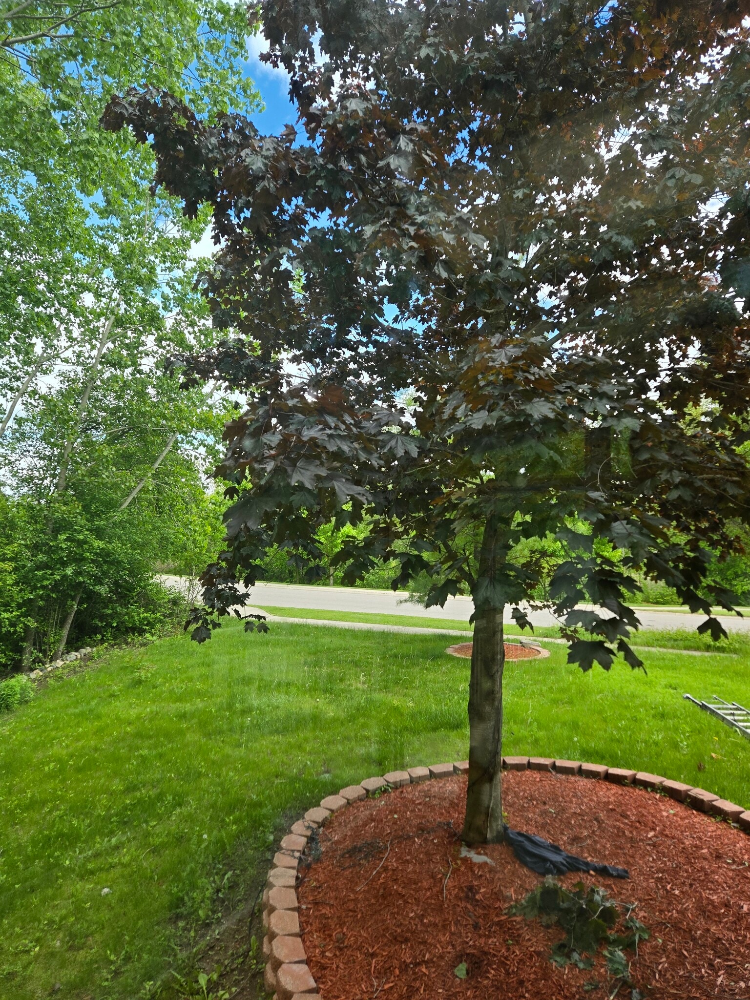 Exterior - 3093 Rosefield Dr