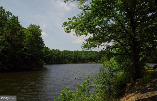 Building Photo - 2520 Doverhill Ct