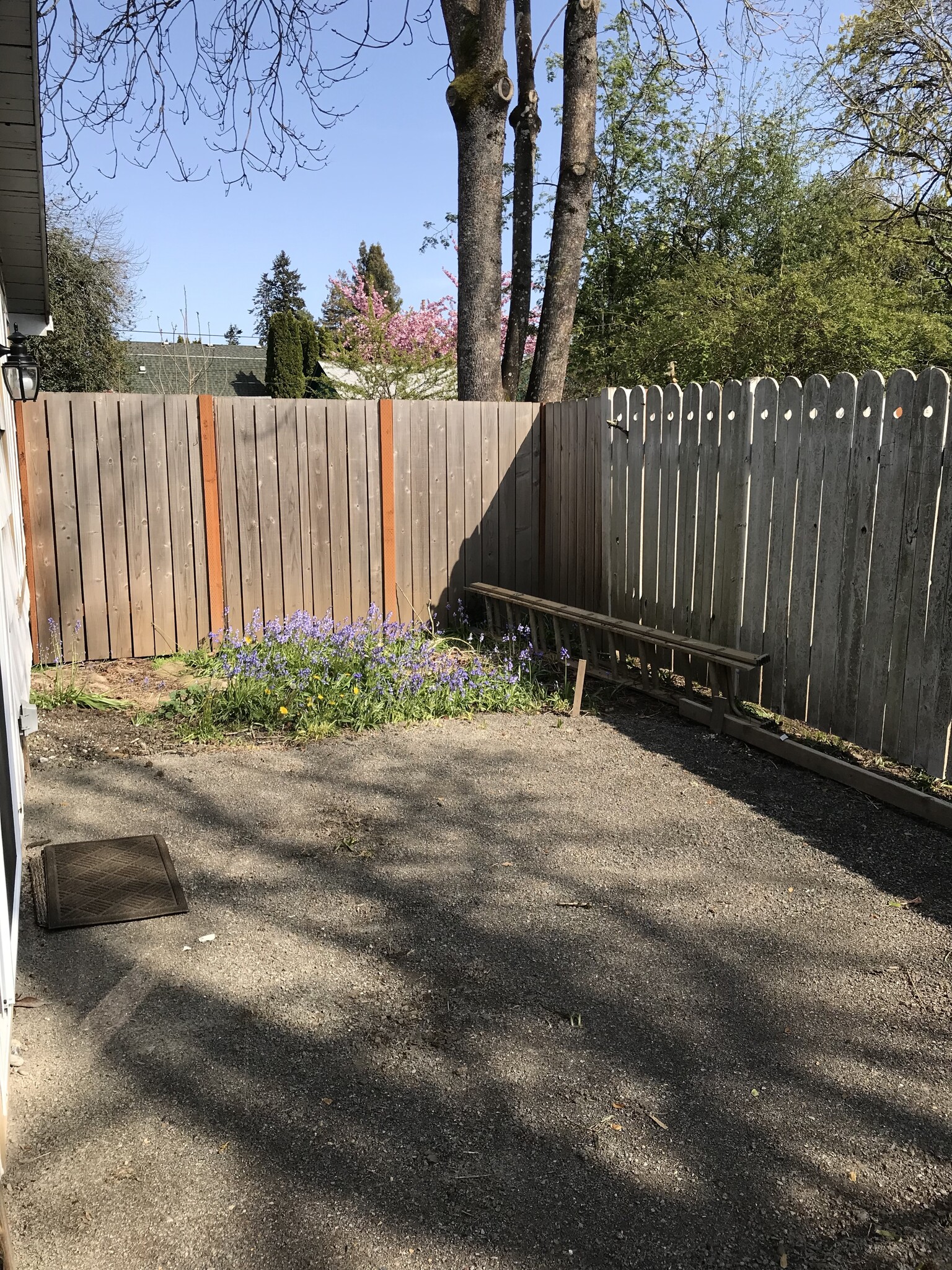 Back patio - 224 NE Jefferson St