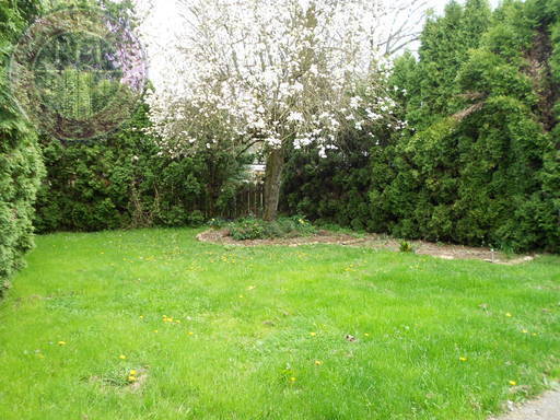 Building Photo - Charming Richmond Craftsman!  Big Backyard!!  Pet Friendly!