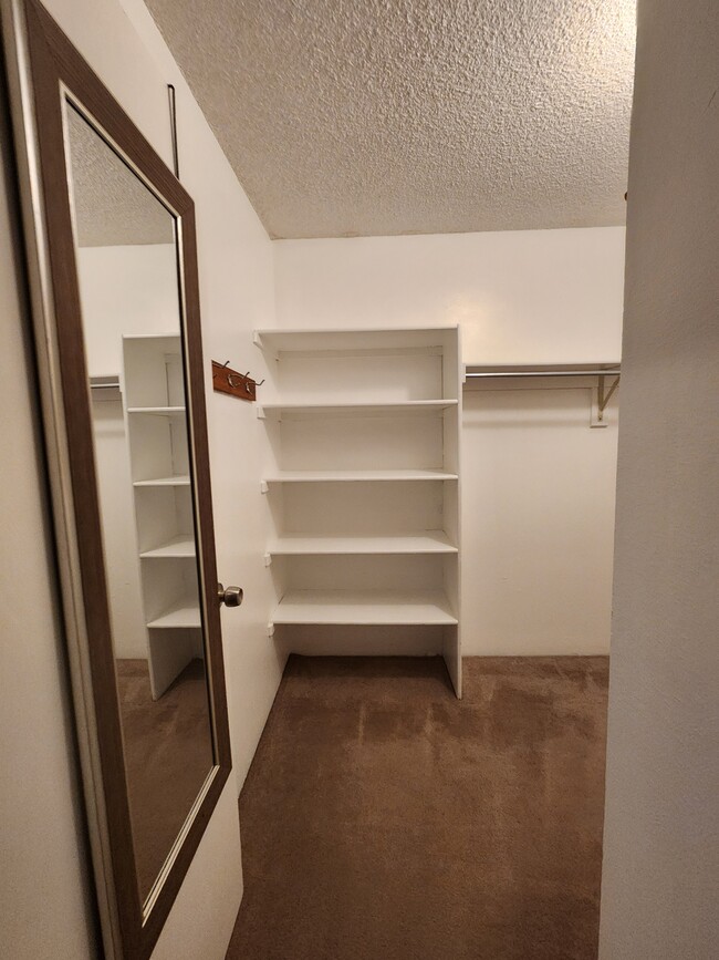 Primary Bedroom Walk-In Closet - 4896 S Dudley St