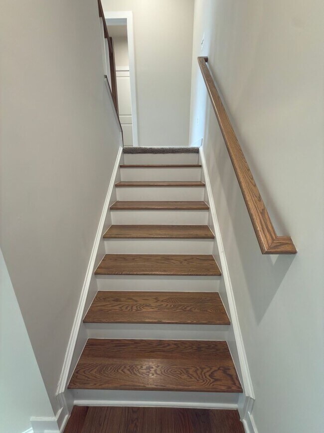 Building Photo - 14441 Albemarle Point Pl