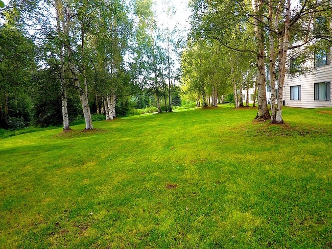 Building Photo - One Bedroom in South Anchorage by Campbell...