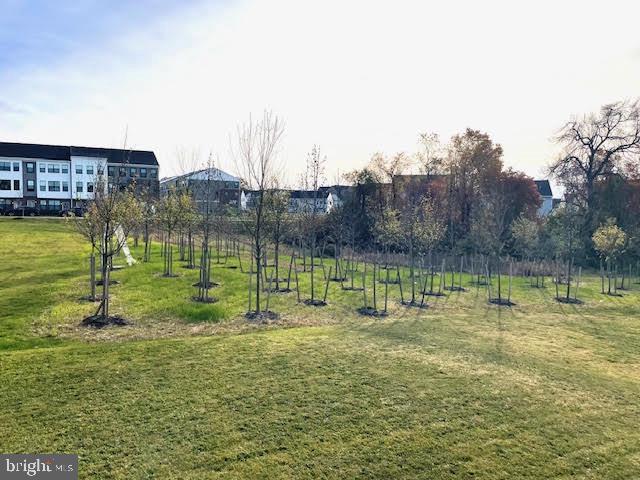 Building Photo - 87 Aaron Truehart Wy