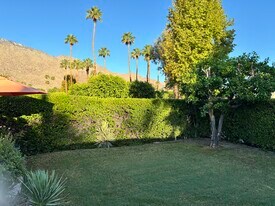 Backyard - 1254 Tiffany Cir S