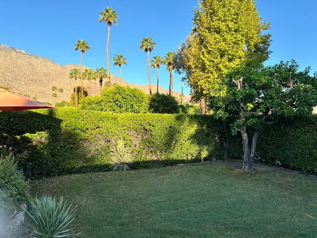 Backyard - 1254 Tiffany Cir S