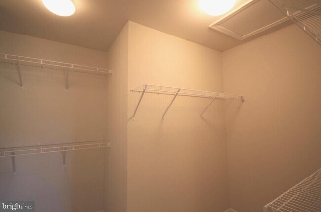 Building Photo - 515 Ellison Dr