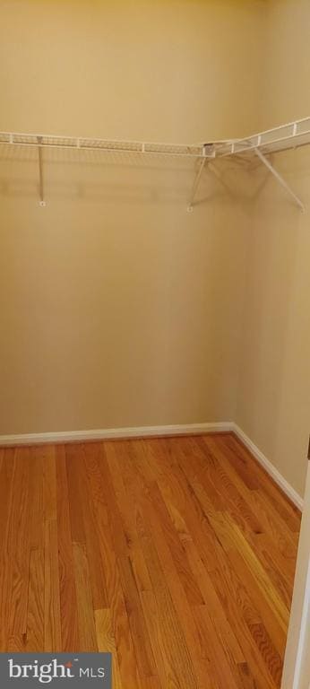 Building Photo - 8089 Brookstone Ct