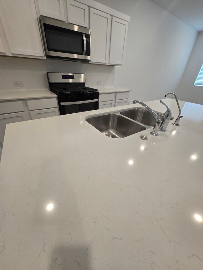 Building Photo - 1003 Moon Drop Ln