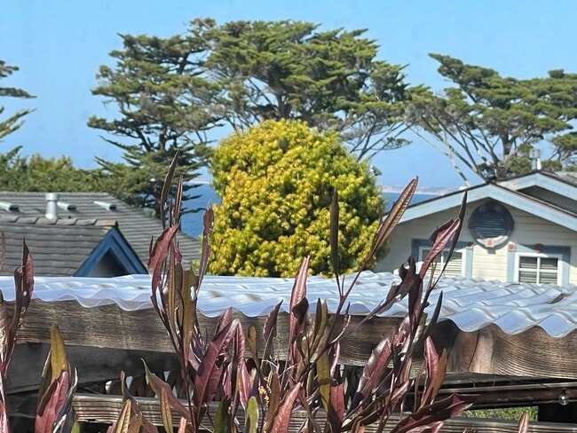 Building Photo - 2bd Monterey Cottage with Ocean Views