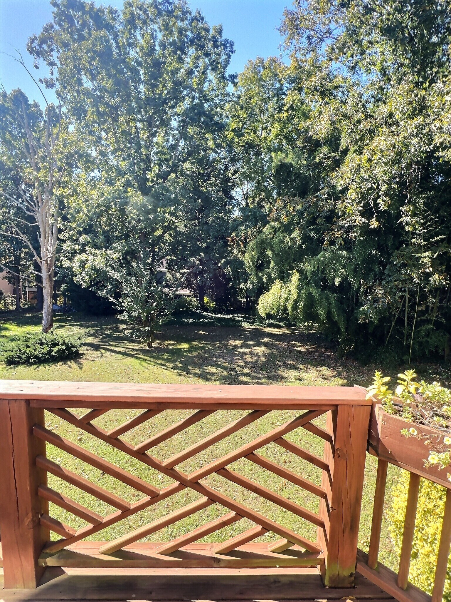 Building Photo - 69 Court Pl