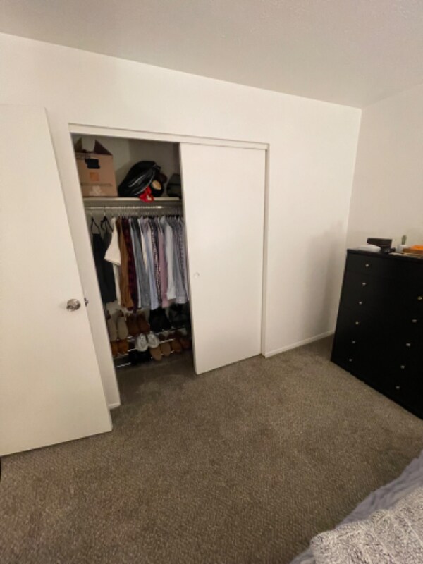 Building Photo - 244-246 Forest St