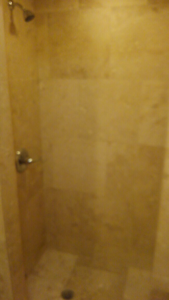 Walk in title shower - 547 E Grand River Ave