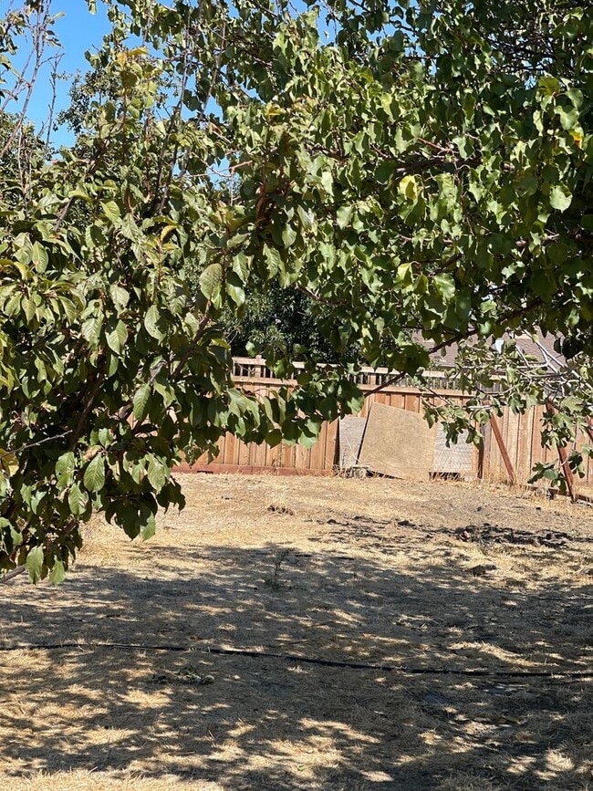 Building Photo - 5-Bedroom, 3-Bathroom Home for Rent on 1-A...