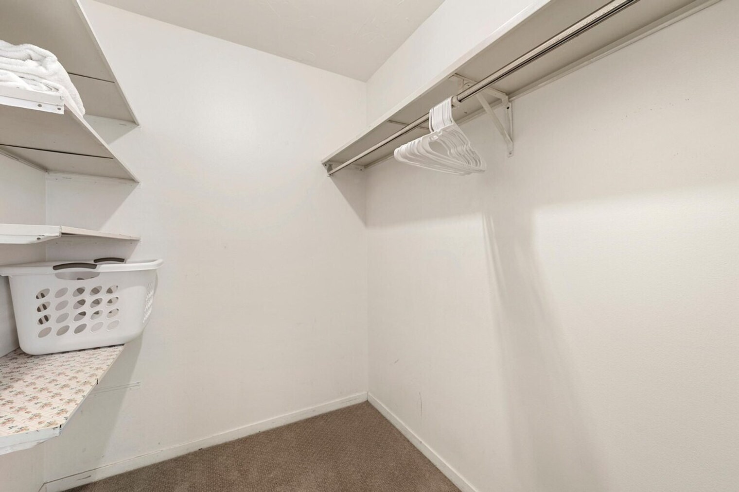 Building Photo - 1675 Larimer St