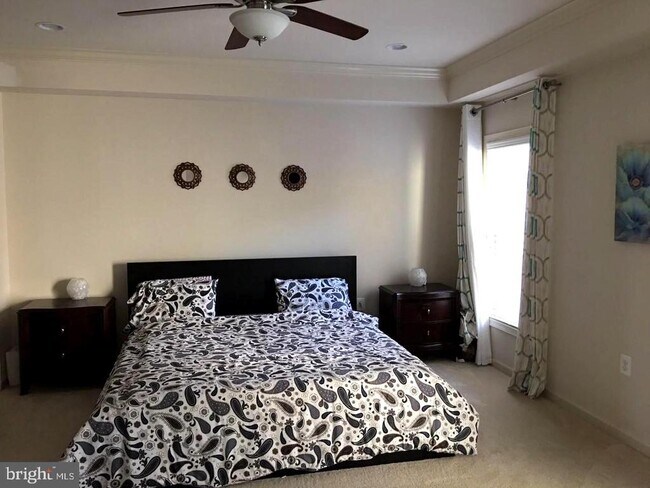 Building Photo - 23337 Tradewind Dr