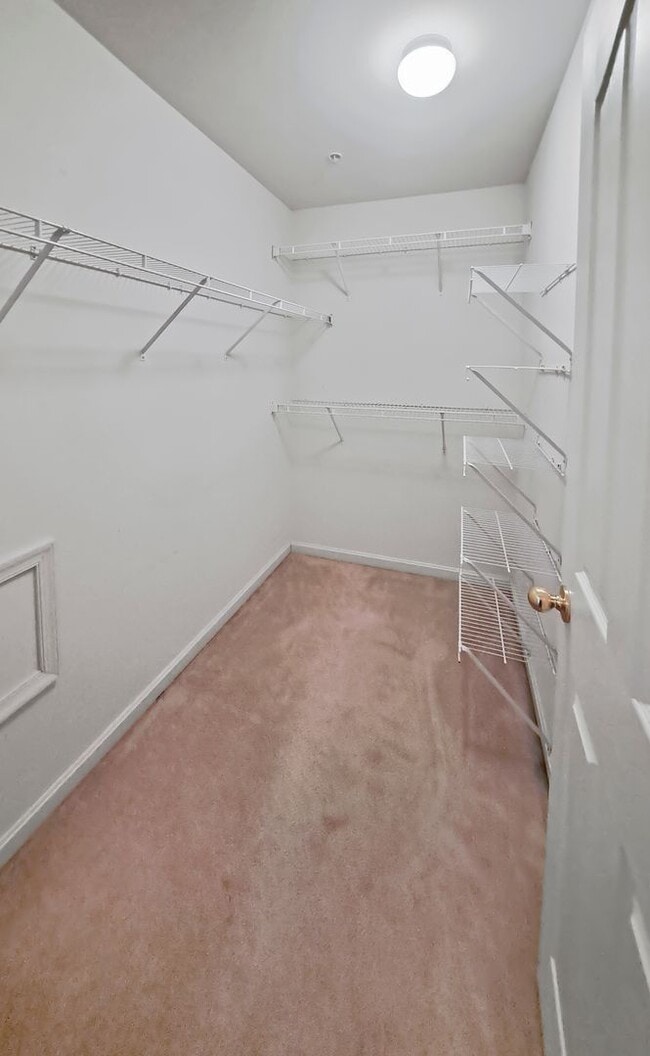 Building Photo - 3074 Esser Pl