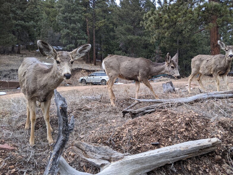 Building Photo - 22517 Shawnee Rd