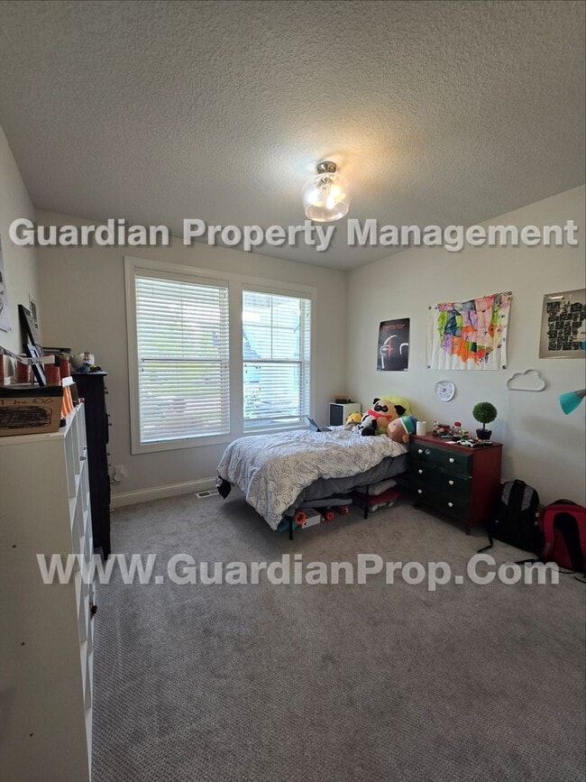 Building Photo - Chaska luxury home, Extra-large living areas, Owners suite, Walkout patio
