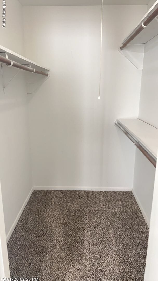 Building Photo - 905 Rose St