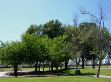 Building Photo - 16042 Waikiki Ln