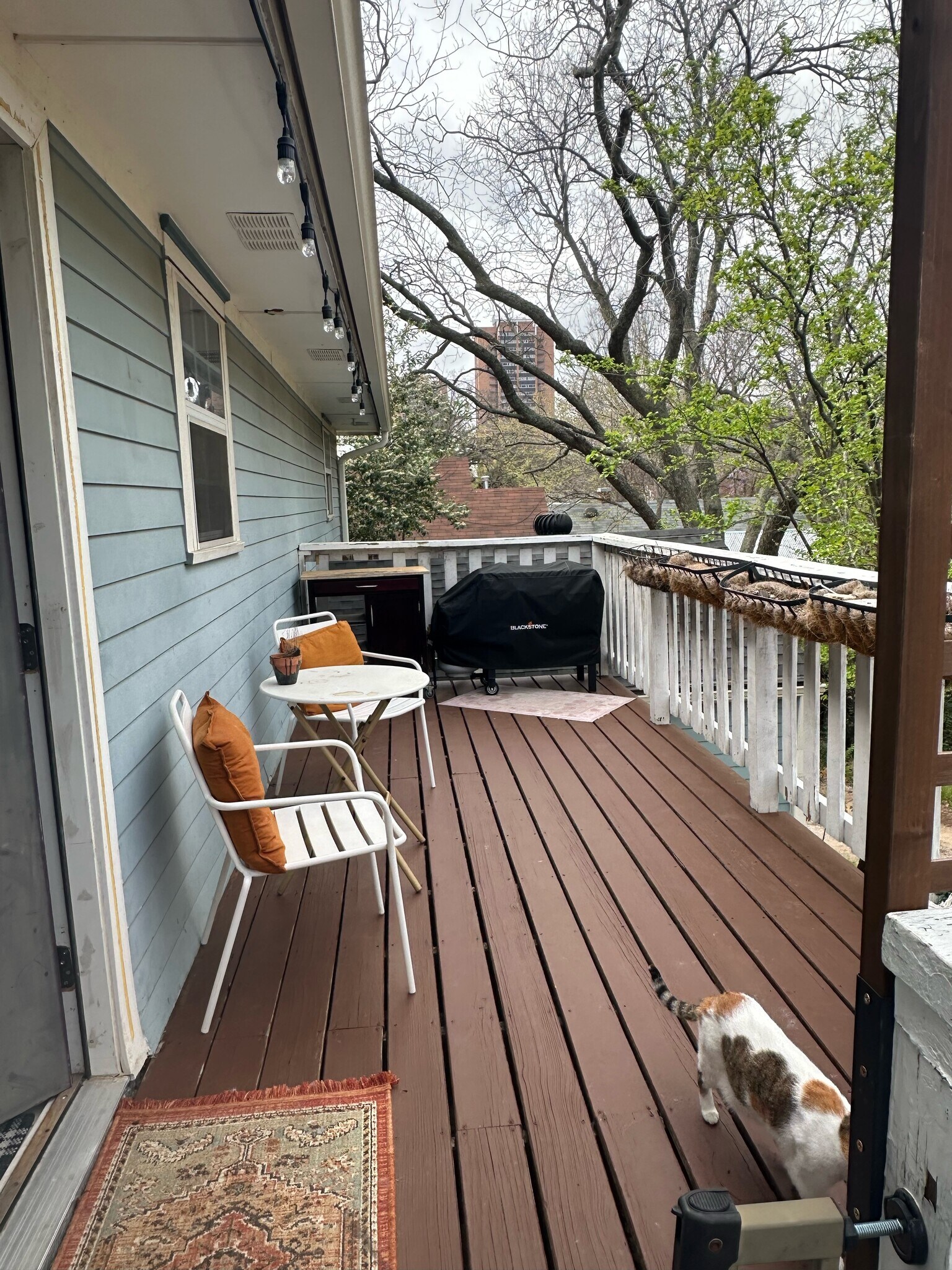 Building Photo - 2019 N Bell Ave