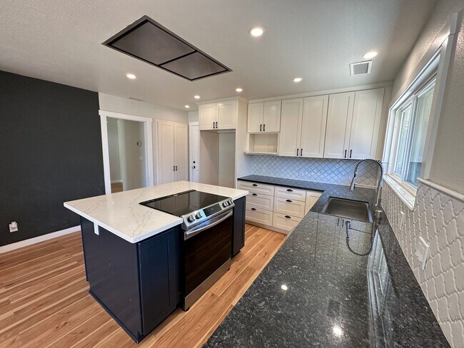 Building Photo - Beautiful 3 Bedroom, 2 Bath Tracy Home