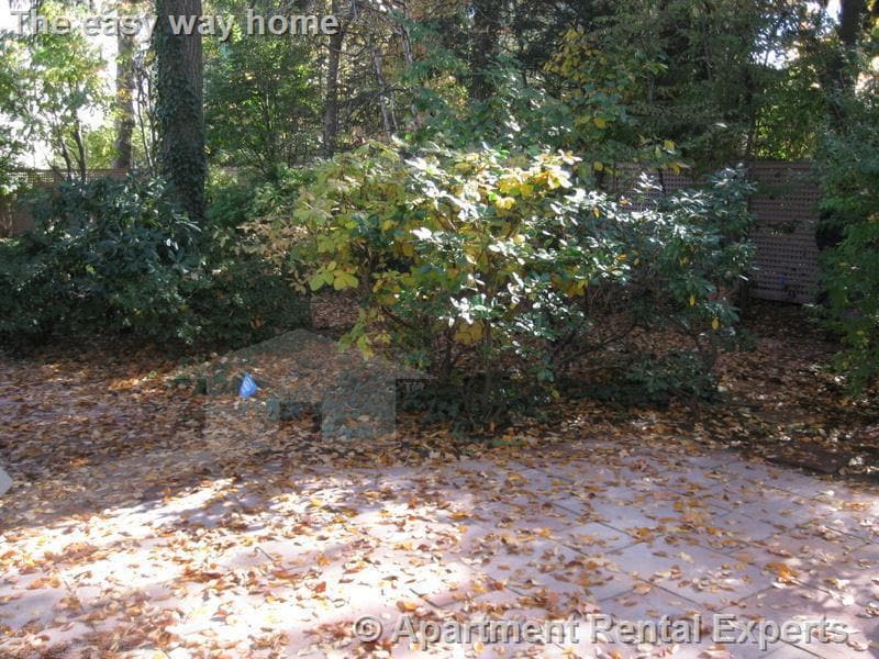 Building Photo - 30 Healey St