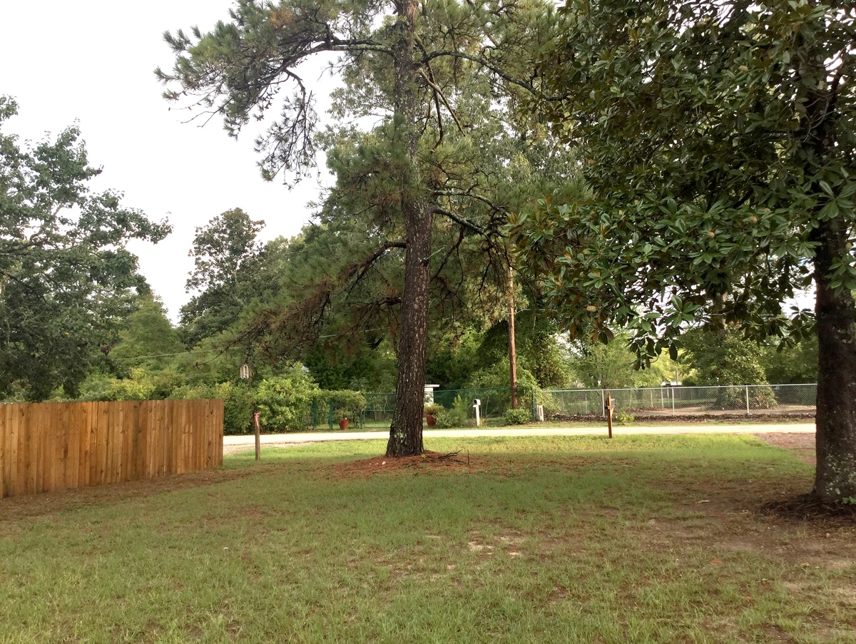 View out to front yard - 25745 Dulaney St