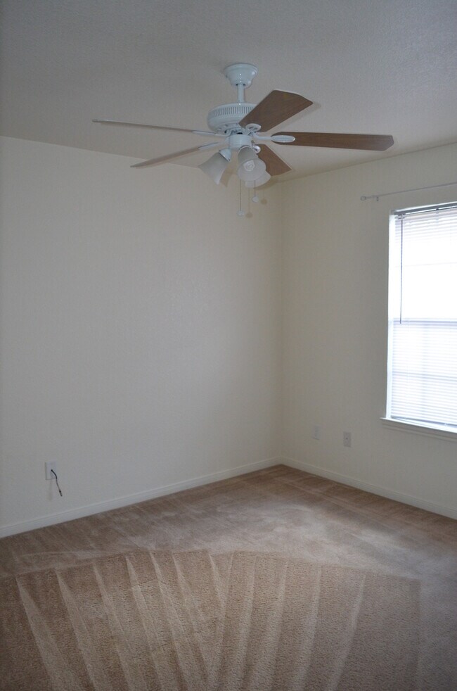 Building Photo - 913Daisy