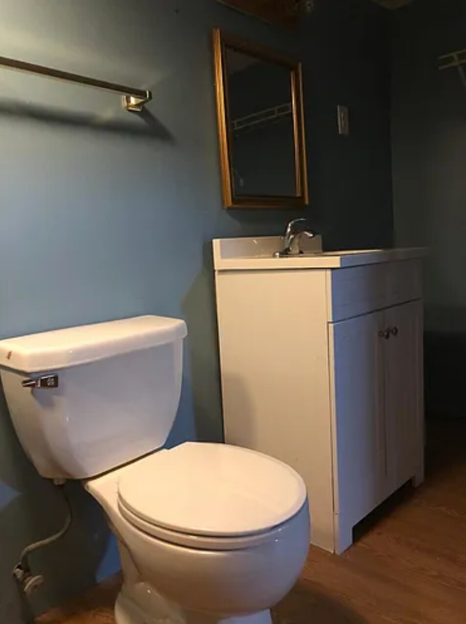 Basement toilet - 2726 Wellman Dr