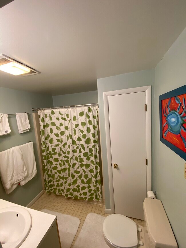 Third Room Bathroom - 145 W Hill St