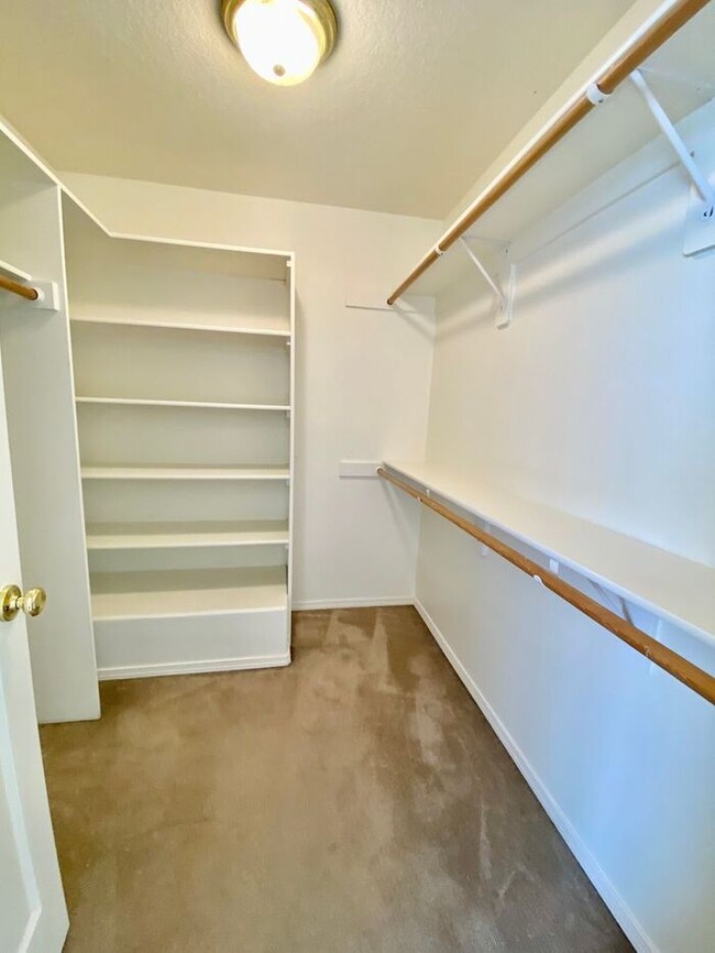 Building Photo - 3056 Lazy River Dr